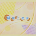 karin - はなごのみ