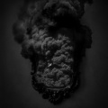 Ancestors - That Which I Should Have Done I Did Not Do