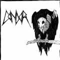Condor - Outro