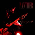 Panther - Labyrinth