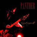 Panther - Warp