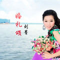 刘菁 - 婚礼颂