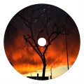 Jamie Berry、Rosie Harte - Turn back