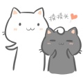 唐媛 - 猫