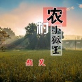 颜笑 - 农村小孤王