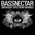 Upside Down (Bassnectar & Terravita Remix)