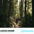 Lucas Chade - Birds Os Monkeys