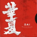 GAI周延 - 华夏