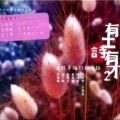 许明杰 - 天灯
