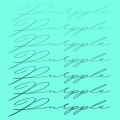 Romo、Purpple - Papel