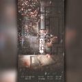 九遇遇遇遇er - 海棠