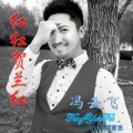 冯云飞 - 红红贺兰红
