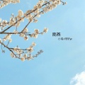 小瑞 - 南燕