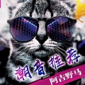 SunnaLu - 以梦为马