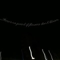 Shisui - Summer Ended