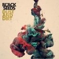 The Black Seeds - Settle Dub (Bonus track)