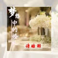 诗皓羽 - 梦想中的婚礼