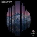 Cosmikal Records Landscapes, Vol. 1