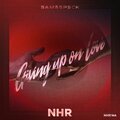 SAM&SP3CK - Giving up on Love