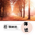 梧桐树的海迁