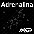 MVP Music - Adrenalina