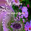 Olga Maslova - Music of Spring