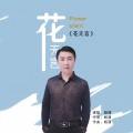 杨潇 - 花无言