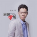 杨木华 - 爱的痛楚
