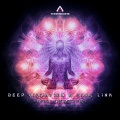 Deep Vibration、Soul Link - Soul Vibration