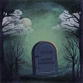 Unlimited、Sena - Vissmayisim