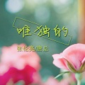 亮总、唐总 - 水龙弹