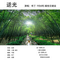 布丁丁 - 逆光