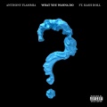 Kash Doll、Anthony Flammia - What You Wanna Do ((Explicit))