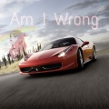 抓鸭子 - Am I Wrong (Remix)