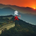陈恳 - 走火