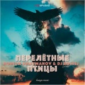 Dj Rostej - Перелётные птицы