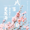 潮音老王 - 八百里花海