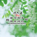 诗人苏 - 我曾把完整的镜子打碎