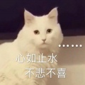 锦零 - 心如止水