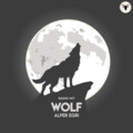 Alper Eğri - Wolf