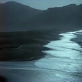 娅静的猫 - 山海