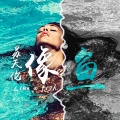 苏天伦 - 精品大电