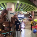 **集合