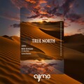 Bob Howard - True North
