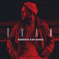 Homie - Пули (Roberto Kan Remix)
