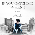 毕书尽 - If You Catch Me When I Fall
