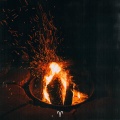 Cardinal - Aún