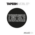 Tapesh - Something