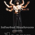 Infected Mushroom - Riders On The Storm (Infected Mushroom Remix)