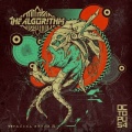 The Algorithm - Autorun